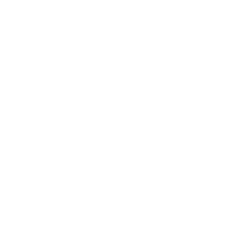 Small Bear Electronics