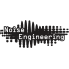 Noise Engineering (1)